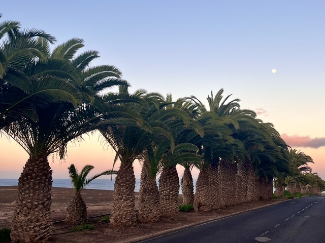 Portada de La parcela en la playa de las Caletillas, FuerteventuraPark