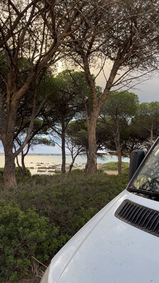 Portada de La playa de los pinos en Cerdeña