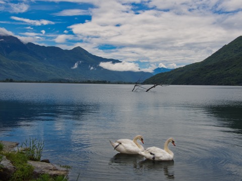 Portada de El lago de Mezzola